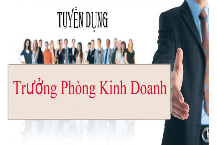 Tuyển Dụng Trưởng Phòng Kinh Doanh Miền Nam - Hãng Xe Điện Before All - T7/2019